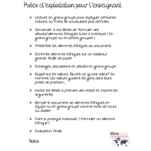 Charger l&#39;image dans la galerie, La coupe du monde au Qatar