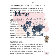 Charger l&#39;image dans la galerie, Jour de la terre