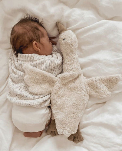 Accompagnement Nouveau-né